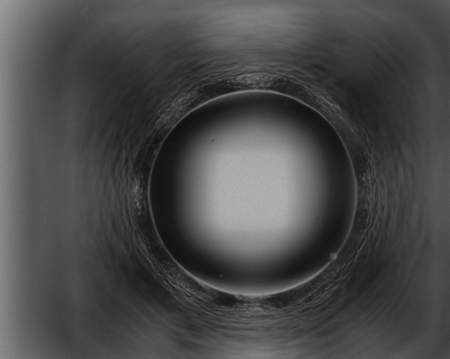 X0000052600597200507160013