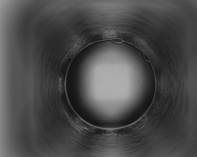 X0000052600598200507160013