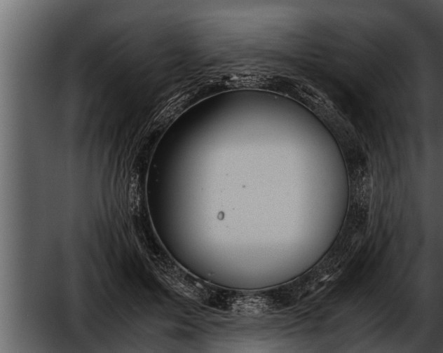 X0000052600599200507160013