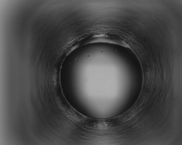 X0000052600600200507160013