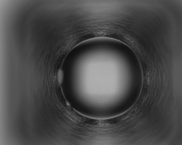 X0000052600601200507160013