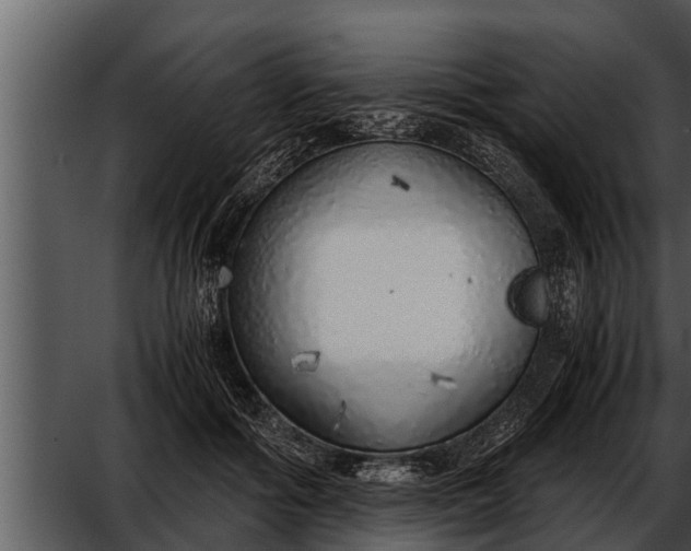 X0000052600602200507160013