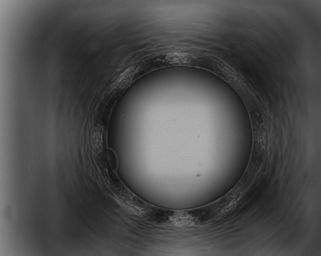 X0000052600603200507160013