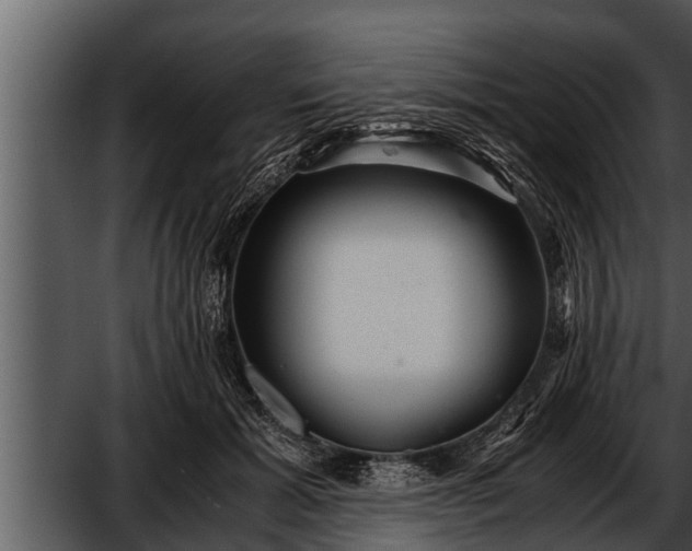 X0000052600605200507160013