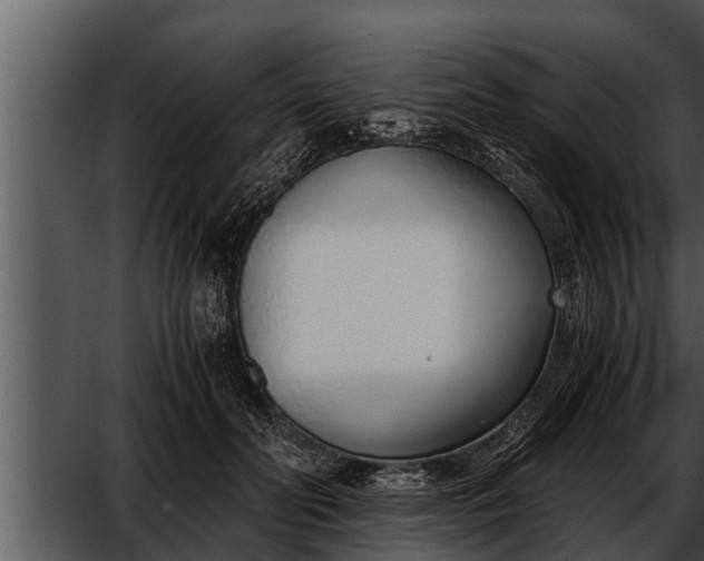 X0000052600606200507160013