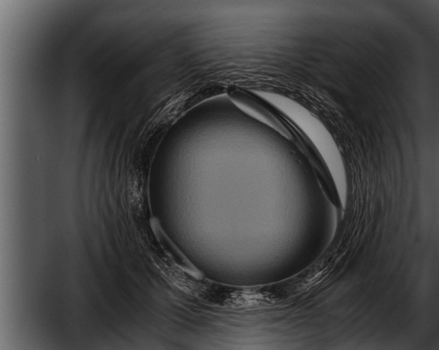 X0000052600607200507160013