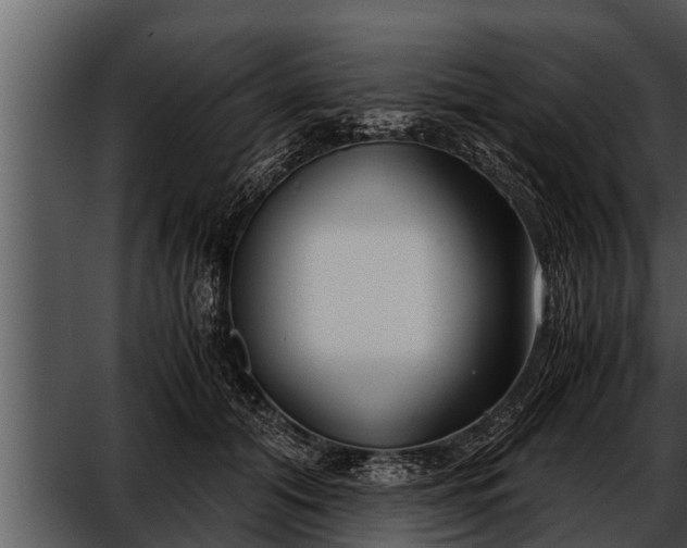 X0000052600608200507160013