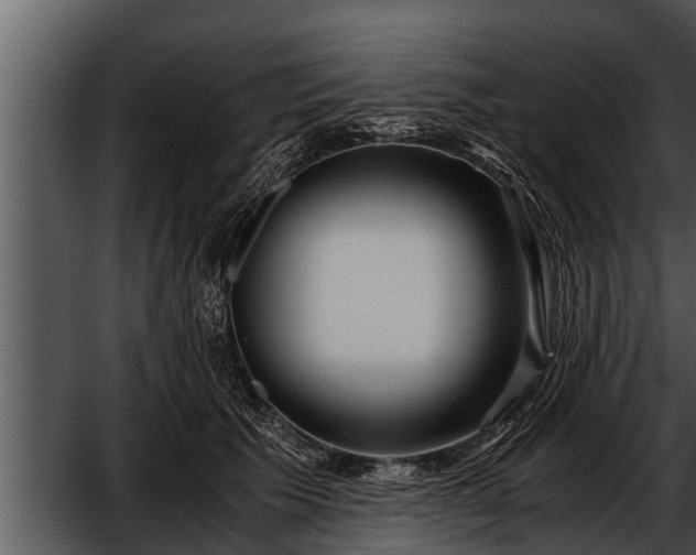 X0000052600609200507160013