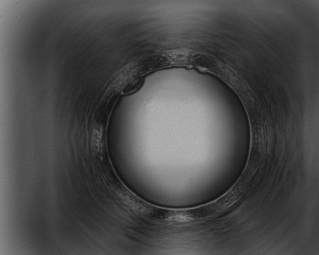 X0000052600610200507160013