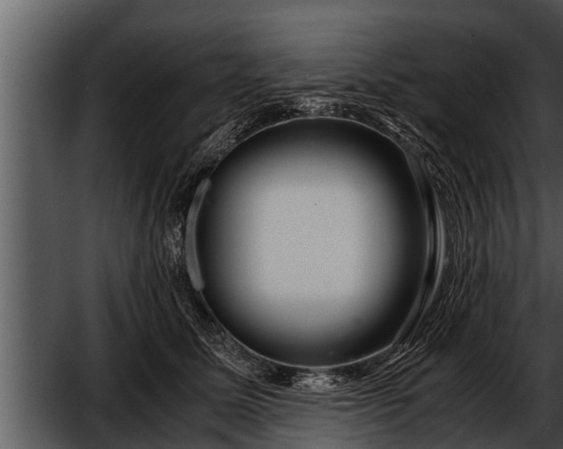 X0000052600611200507160013