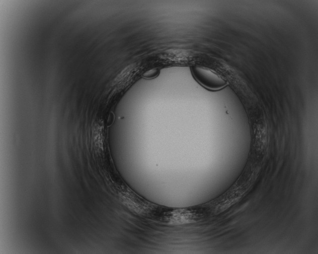 X0000052600612200507160013