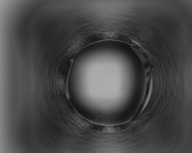 X0000052600613200507160013