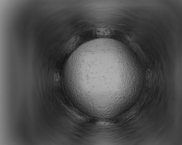 X0000052600614200507160013