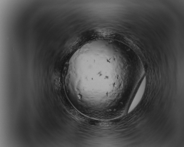 X0000052600615200507160013