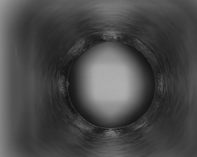 X0000052600616200507160013