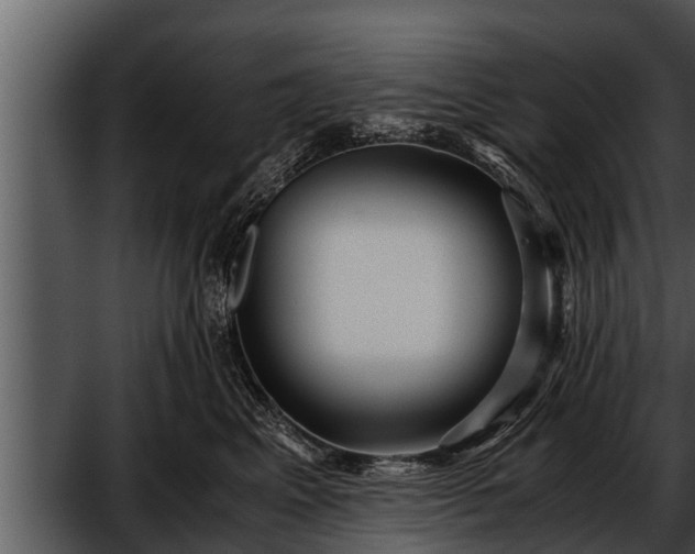 X0000052600617200507160013