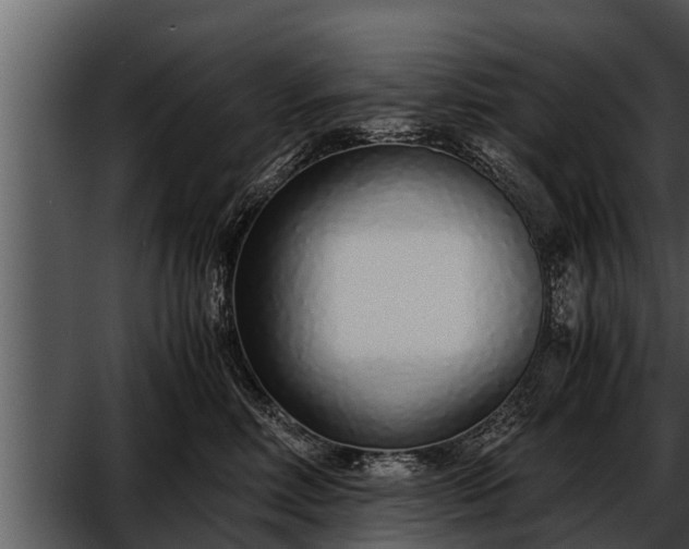 X0000052600618200507160013