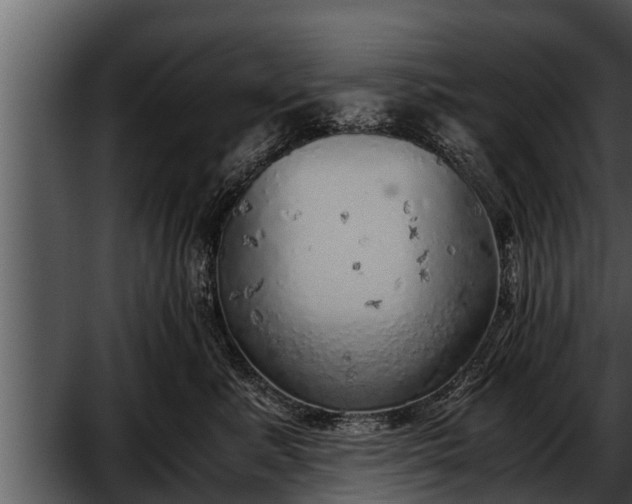 X0000052600619200507160012