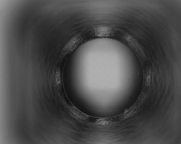 X0000052600620200507160012