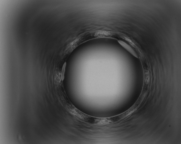 X0000052600621200507160012