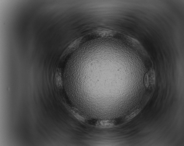 X0000052600622200507160012