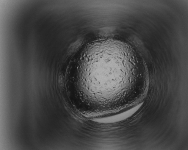 X0000052600623200507160012