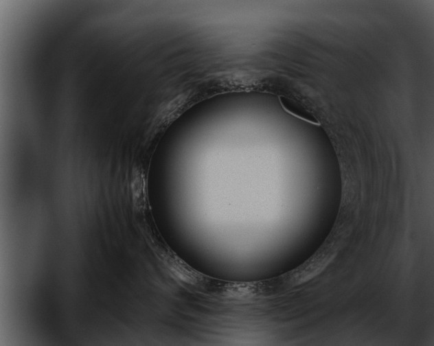 X0000052600624200507160012