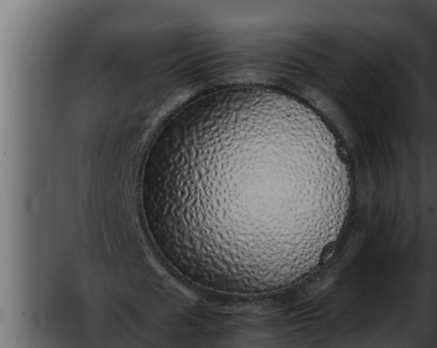 X0000052600625200507160012