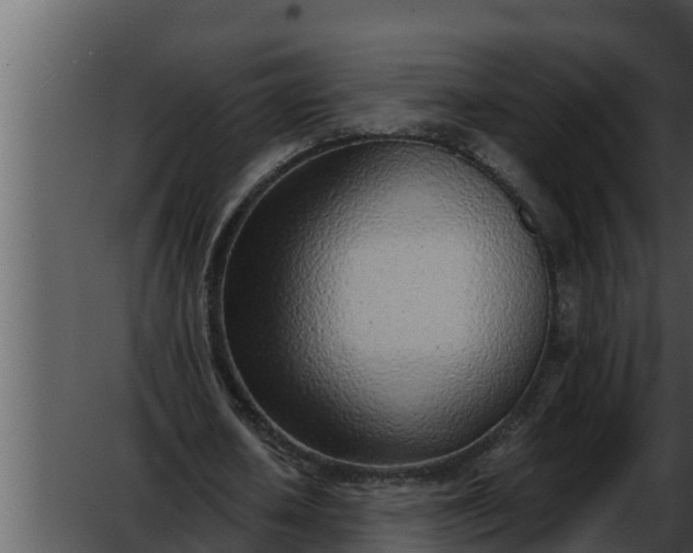 X0000052600626200507160012