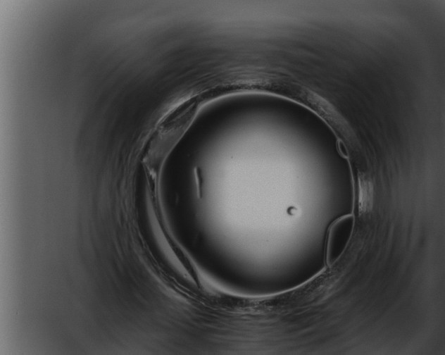 X0000052600627200507160012