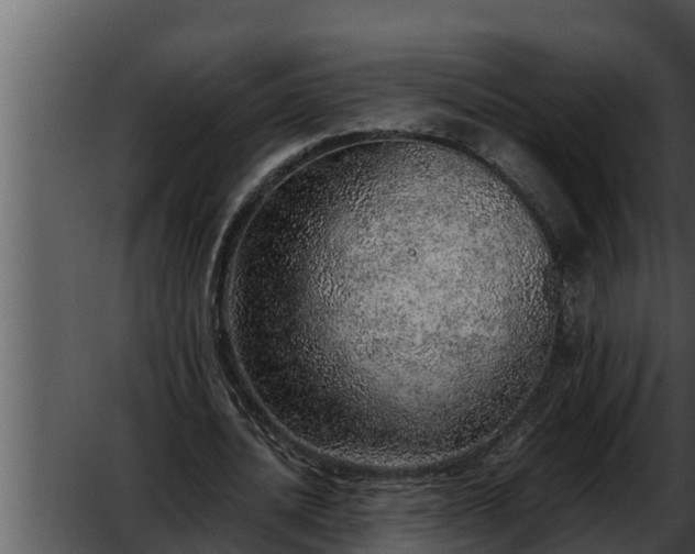 X0000052600628200507160012