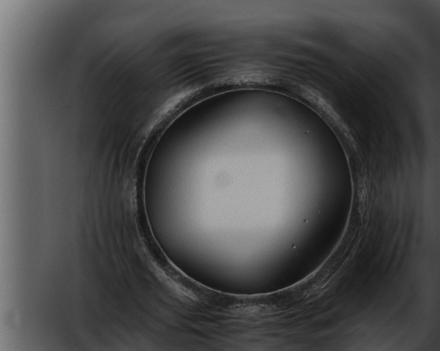 X0000052600629200507160012