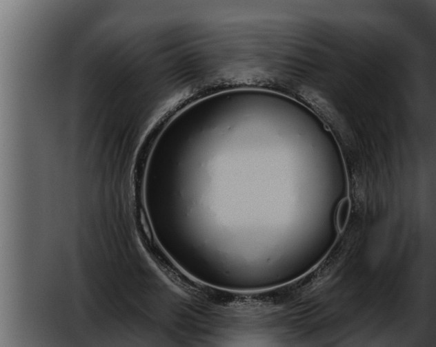 X0000052600630200507160012