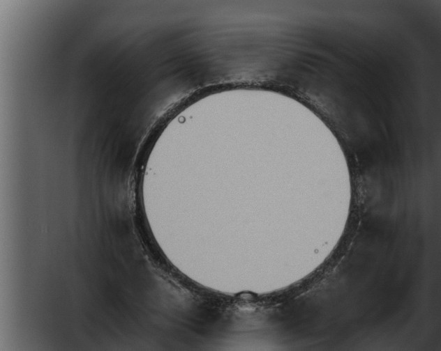 X0000052600632200507160012