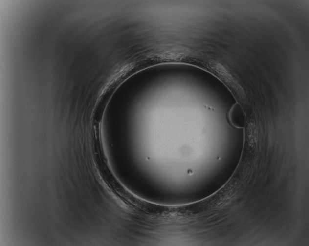 X0000052600634200507160012