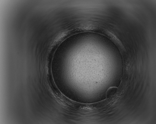 X0000052600635200507160012