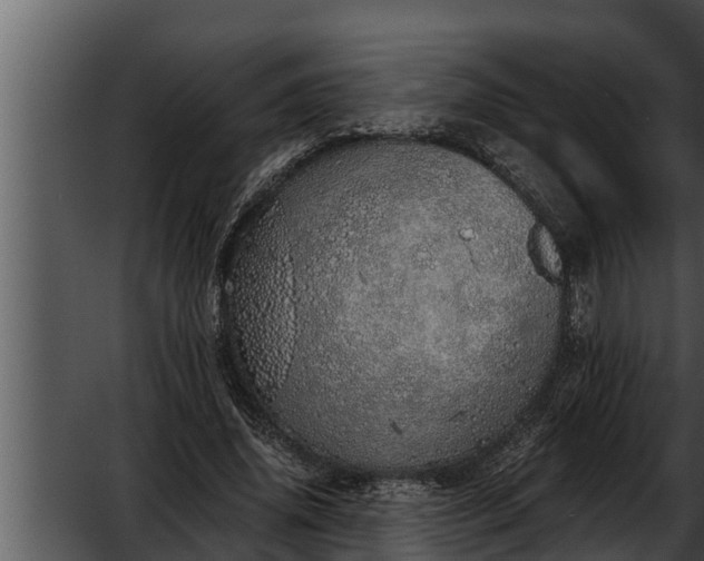 X0000052600636200507160012