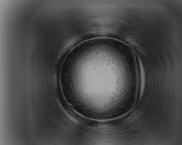 X0000052600638200507160012