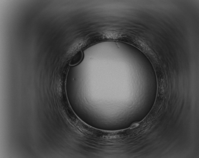 X0000052600639200507160012