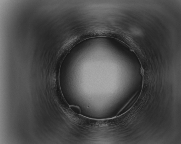 X0000052600640200507160012