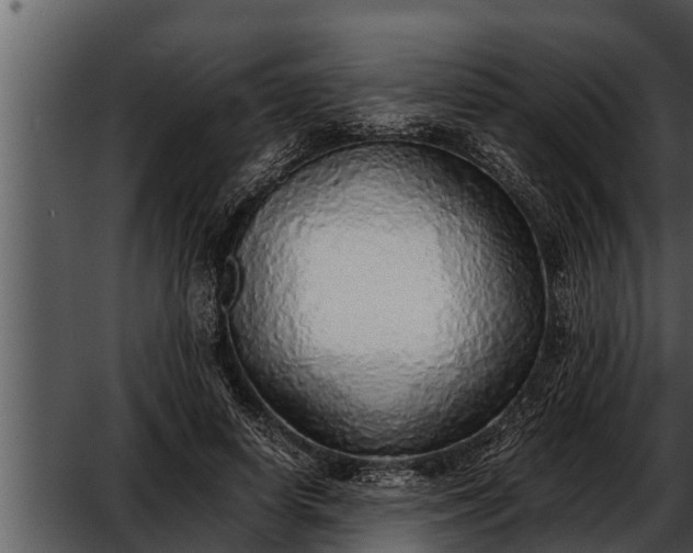 X0000052600642200507160012