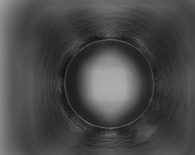 X0000052600643200507160012