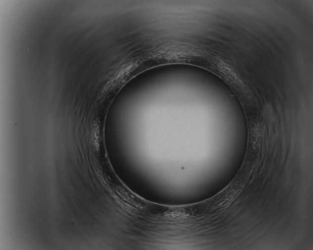 X0000052600644200507160012