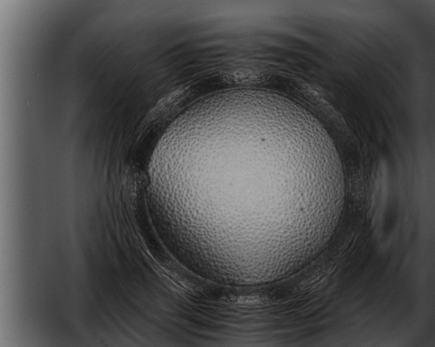 X0000052600645200507160012