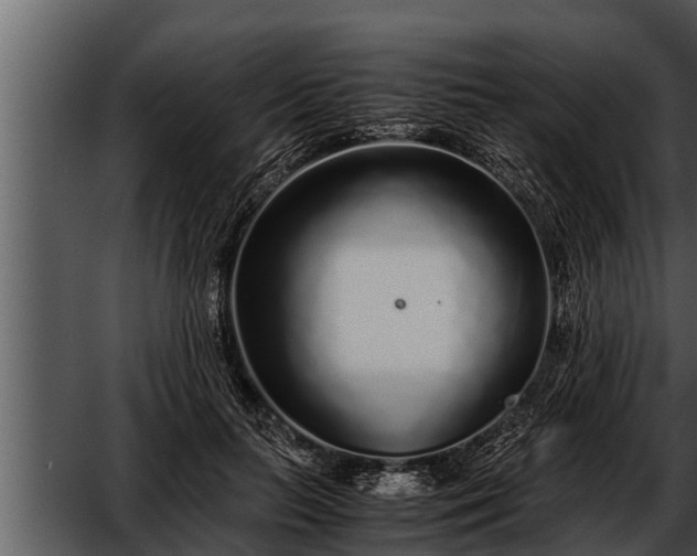 X0000052600647200507160012