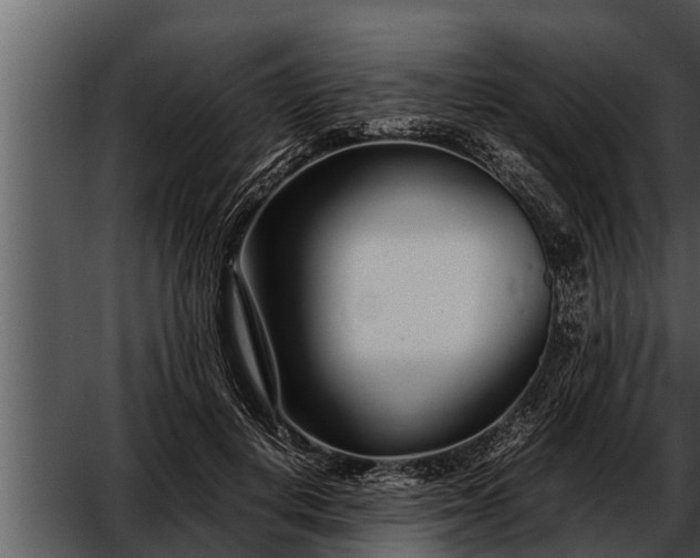 X0000052600648200507160012