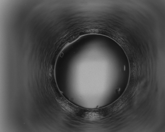 X0000052600649200507160012