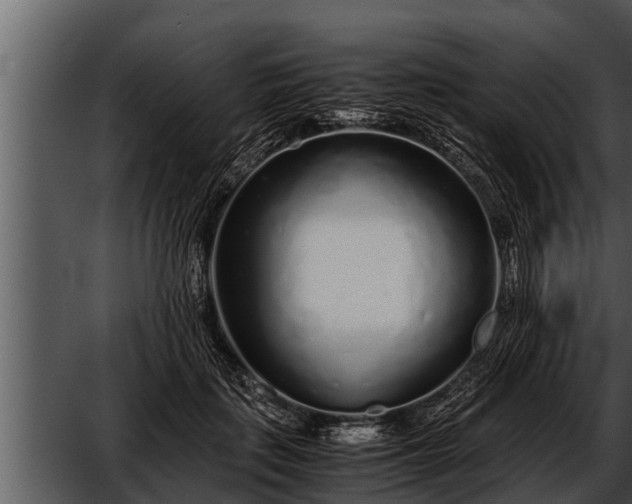 X0000052600651200507160012