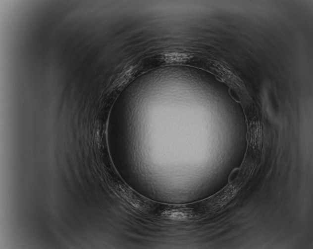 X0000052600655200507160012