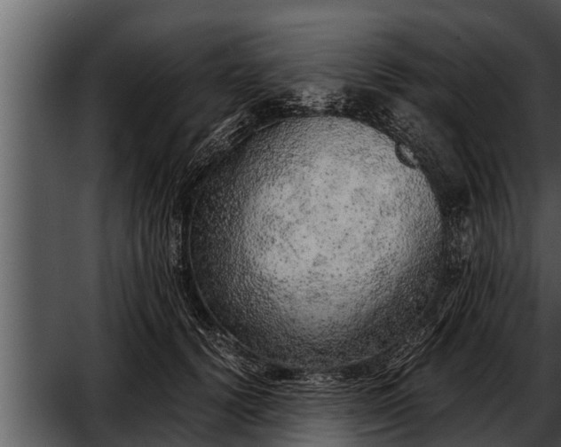 X0000052600656200507160012